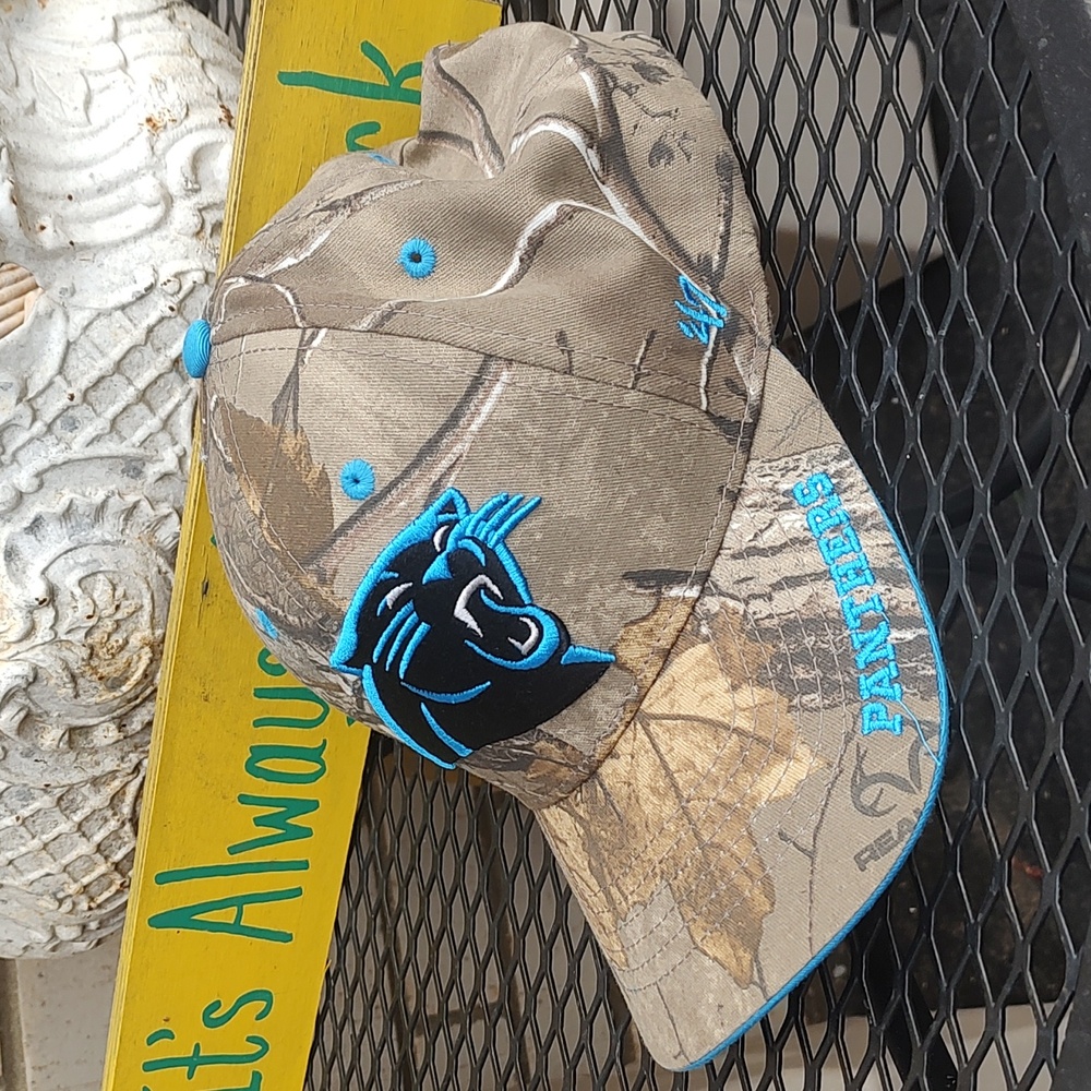 Carolina Panther Hat